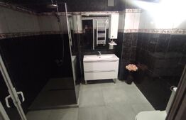 Casă spațioasă cu oportunitate de business - zona Titan