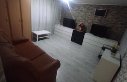 Casă spațioasă cu oportunitate de business - zona Titan