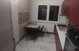 Casă spațioasă cu oportunitate de business - zona Titan