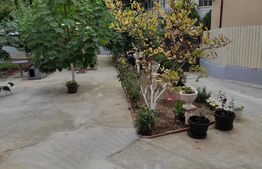 Casă spațioasă cu oportunitate de business - zona Titan