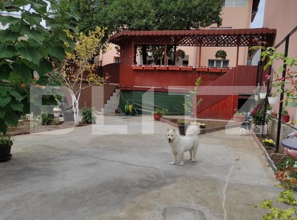 Casa de vânzare 12 camere Dristor - 189567CV | BLITZ București | Poza21