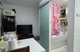 Garsoniera Confort 2 | Renovata | Margeanului