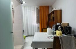 Garsoniera Confort 2 | Renovata | Margeanului