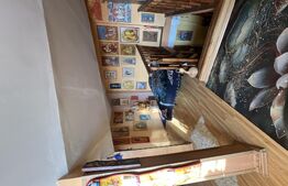 De vanzare casa cu gradina la pret excelent sector 1