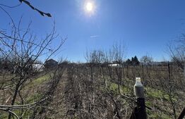 Teren 1192 mp cu livadă matură + casă + utilități | Lipia, Gruiu