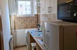 Garsoniera spatioasa langa parcul Tineretului 32mp