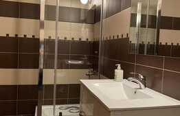 3 camere, in nordul Bucurestiului, spatios, terasa! Ideal in vremuri de pandemie! 