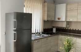 3 camere, in nordul Bucurestiului, spatios, terasa! Ideal in vremuri de pandemie! 