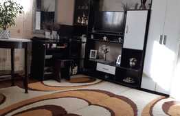 Garsoniera cocheta, 27 mp,  cu curte si loc de parcare, zona Floreasca