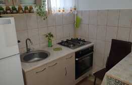 Garsoniera cocheta, 27 mp,  cu curte si loc de parcare, zona Floreasca