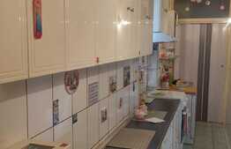 Apartament 6 camere, zona Victoriei, in vila documentata istoric! 