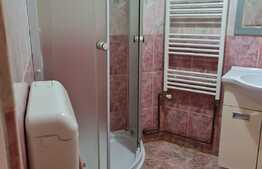  Casa, parter plus pod mansardat, 100mp + 30 mp curte, Piata Cosbuc