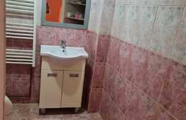  Casa, parter plus pod mansardat, 100mp + 30 mp curte, Piata Cosbuc