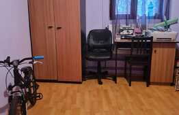  Casa, parter plus pod mansardat, 100mp + 30 mp curte, Piata Cosbuc