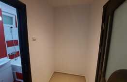 Apartament 2 camere, 50 mp, Raul Doamnei! Investitie!