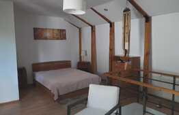 Vila P+1,3 apartamente,zona linistita Bucurestii Noi