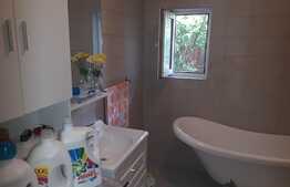 Vila P+1,3 apartamente,zona linistita Bucurestii Noi