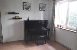 Vila P+1,3 apartamente,zona linistita Bucurestii Noi