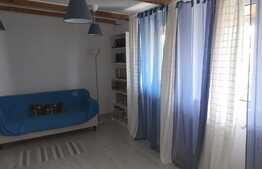 Vila P+1,3 apartamente,zona linistita Bucurestii Noi