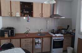 Vila P+1,3 apartamente,zona linistita Bucurestii Noi