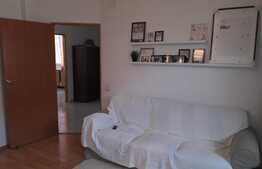 Vila P+1,3 apartamente,zona linistita Bucurestii Noi