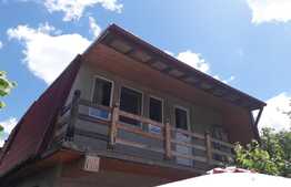 Vila P+1,3 apartamente,zona linistita Bucurestii Noi