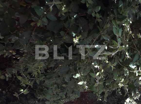 Casa de vânzare 7 camere Bucurestii Noi - 64997CV | BLITZ București | Poza16