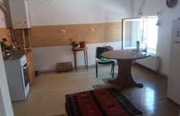Apartament 2 camere, zona Cismigiu