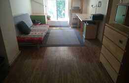 Apartament 2 camere, zona Cismigiu