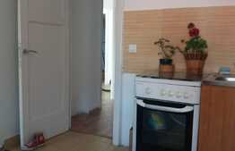 Apartament 2 camere, zona Cismigiu