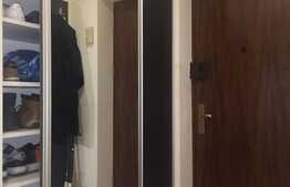 Apartament 3 camere mobilat/utilat lux , Zona Tineretului