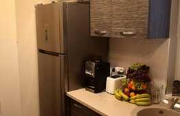 Apartament 3 camere mobilat/utilat lux , Zona Tineretului