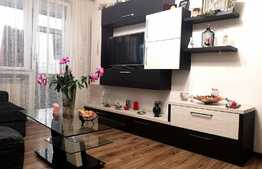 Apartament 3 camere mobilat/utilat lux , Zona Tineretului