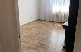 Garsoniera , zona Tineretului