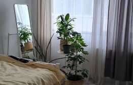 Apartament superb, zona foarte buna, mobilat foarte frumos