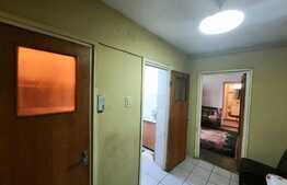  Apartamente 3 camere, 66 mp, Drumul Taberei,Raul Doamnei