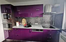 Apartament cochet cu 3 camere in Drumul Taberei