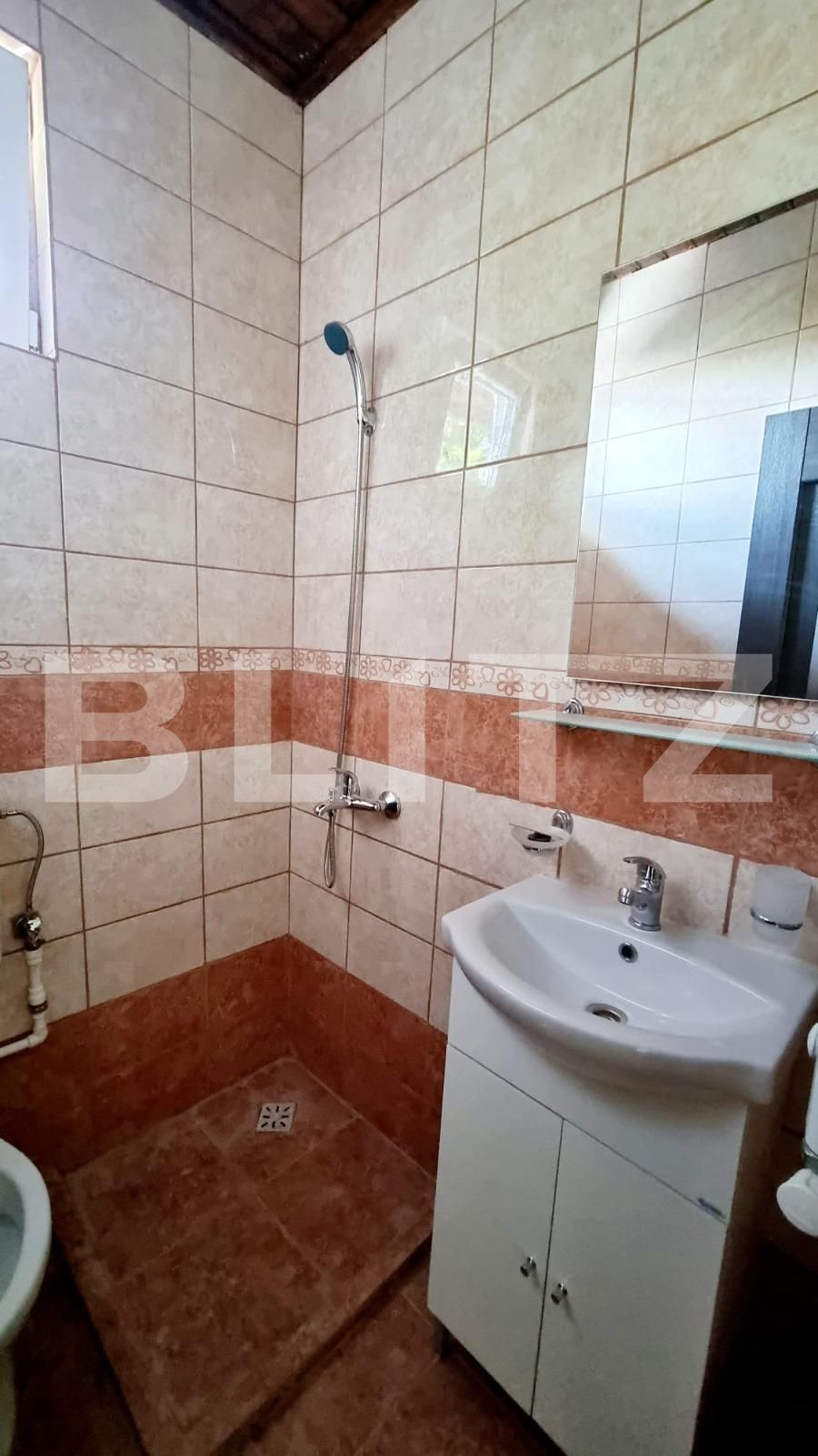Casa de închiriat 6 camere Crangasi - 66362CI | BLITZ București | Poza11