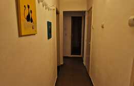 Apartament spațios de 3 camere în zona Crângași