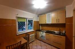 Apartament 2 camere, 49 mp,  zona Pascani/Drumul Taberei. Ideal investitie sau sediu firma!