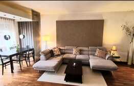 Aparament 3 camere,146 mp utili, zona parcul Herastrau