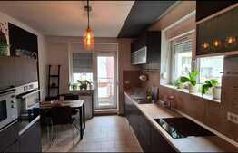 Aparament 3 camere,146 mp utili, zona parcul Herastrau