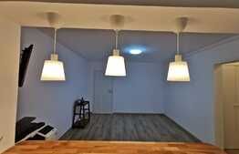 Studio renovat recent aproape de Plaza România