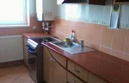 Doua apartamente, 120 mp, parcare, Dudesti