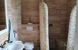 Casa de 5 camere, Comuna Branesti 