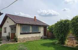 Casa de 5 camere, Comuna Branesti 