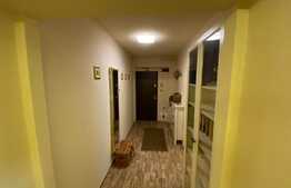Apartament de 2 camere și 2 băi, la 5 minute de parcul Herastrău