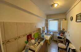 Apartament de 2 camere în zona Cișmigiu 