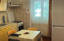 Apartament de 2 camere decomandat, 60 mp, zona Domenii