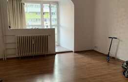 Apartament 2 camere decomandat Delfinului